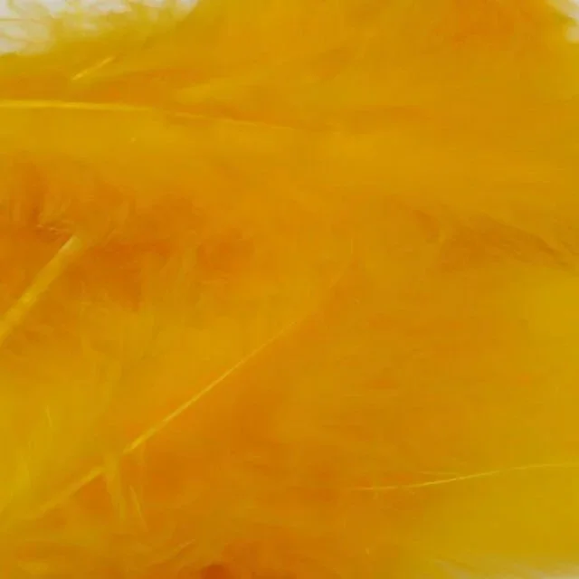 sunburst+yellow.jpg