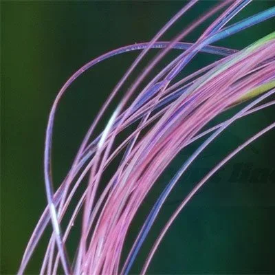 pink.jpg
