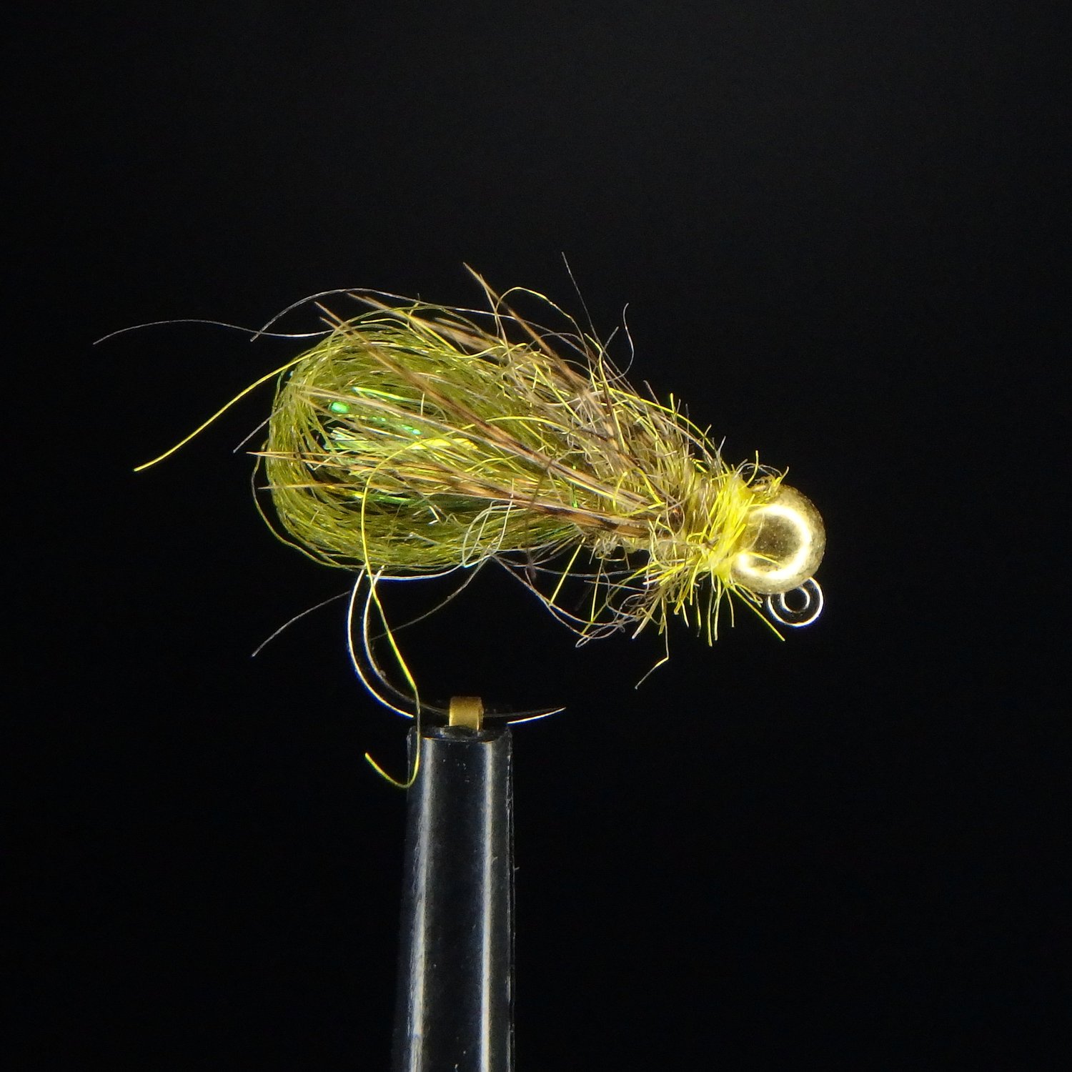 P1051235.JPG?format=1500w