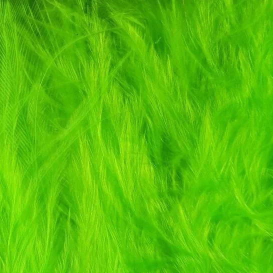 fl+chartreuse.jpg