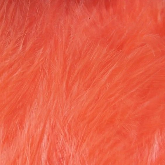shrimp+pink.jpg
