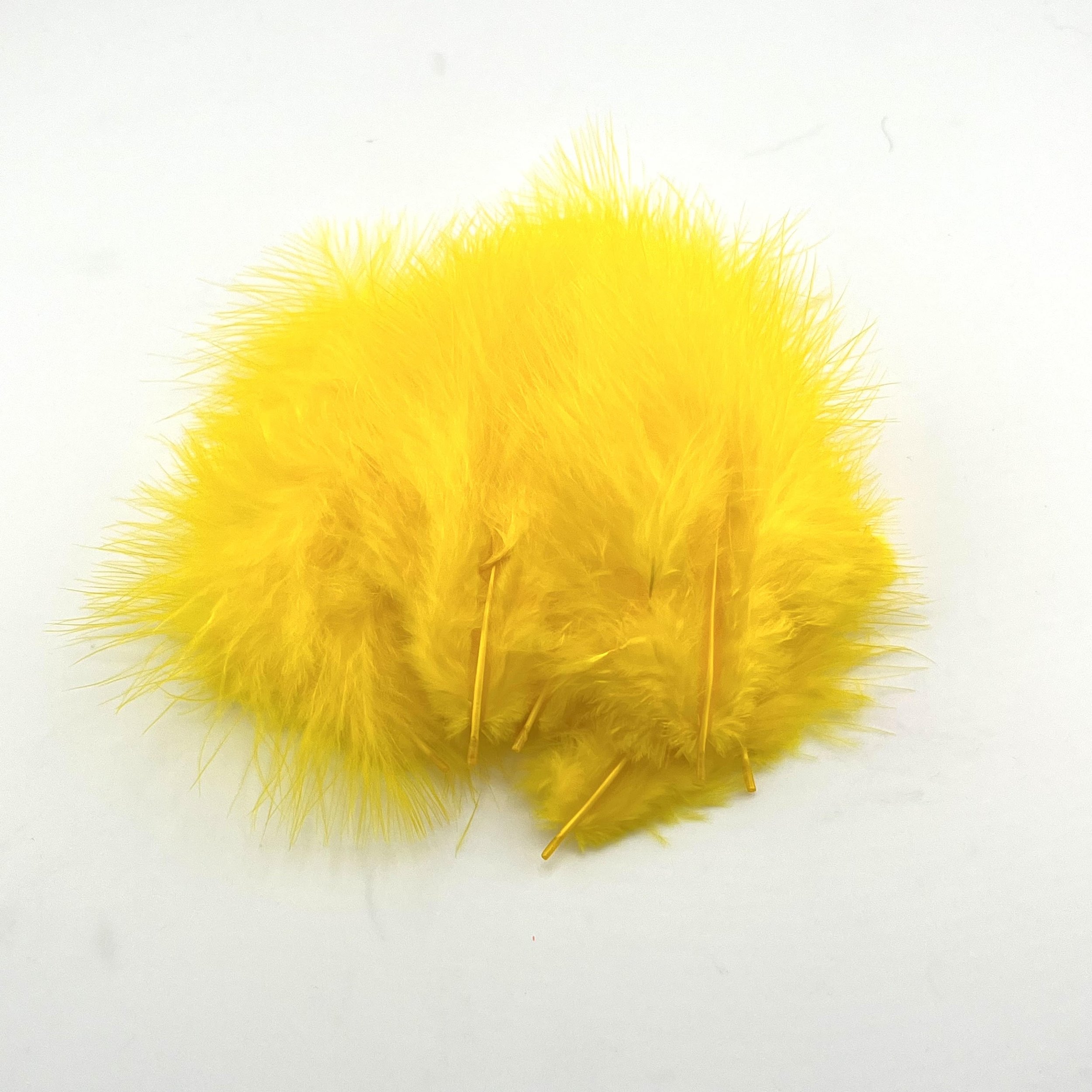 Yellow.jpg