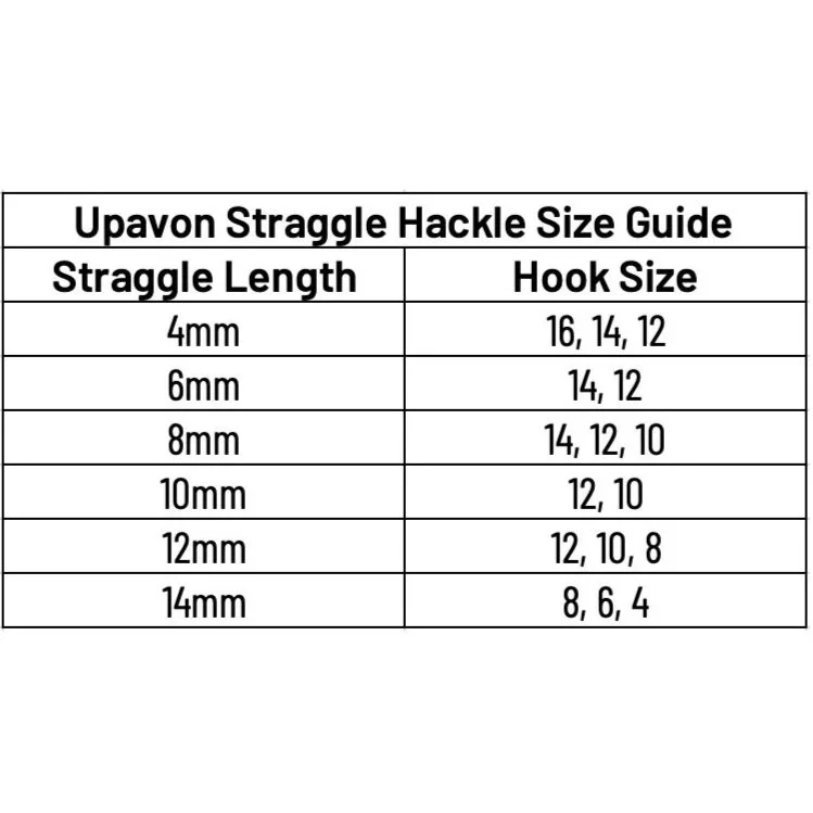 size+chart.jpg
