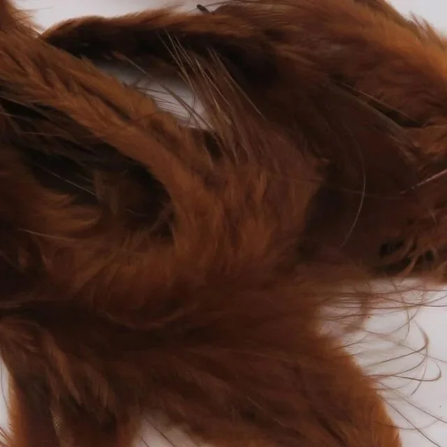 fiery+brown.jpg