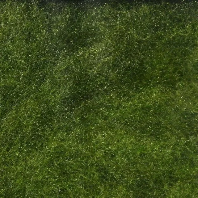 bwo.jpg