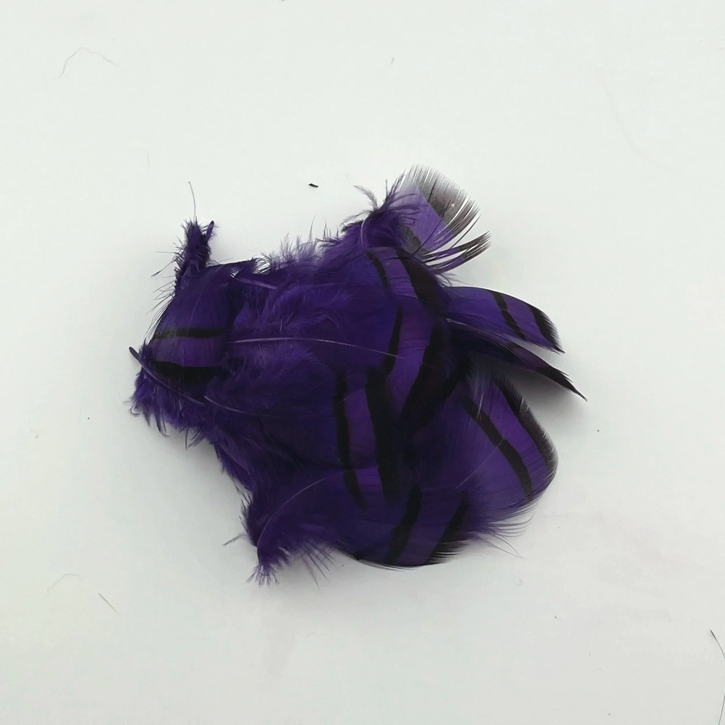 purple.jpg