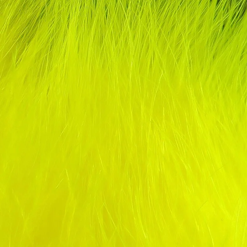 fl yellow.jpg