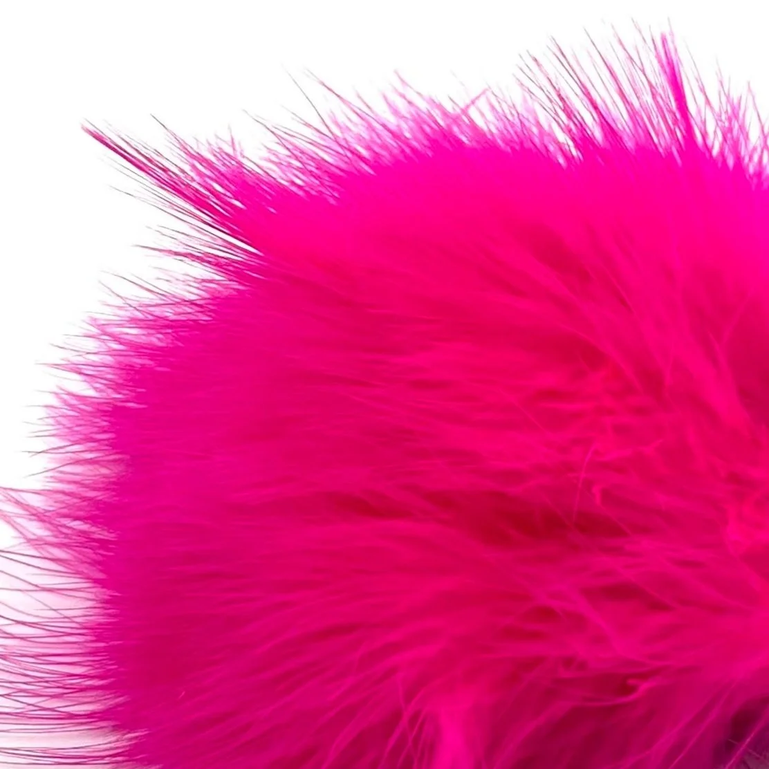 fl+fuchsia.jpg