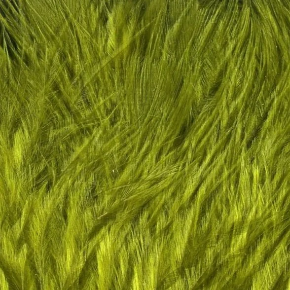 olive.jpg