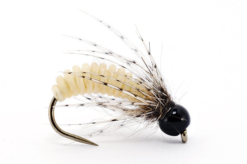 catgut-with-partridge-pupae_2.jpg