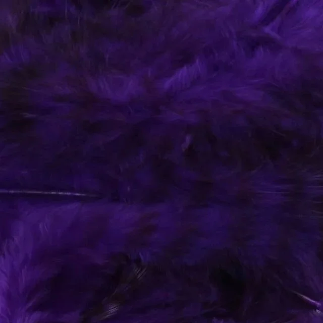 purple.jpg
