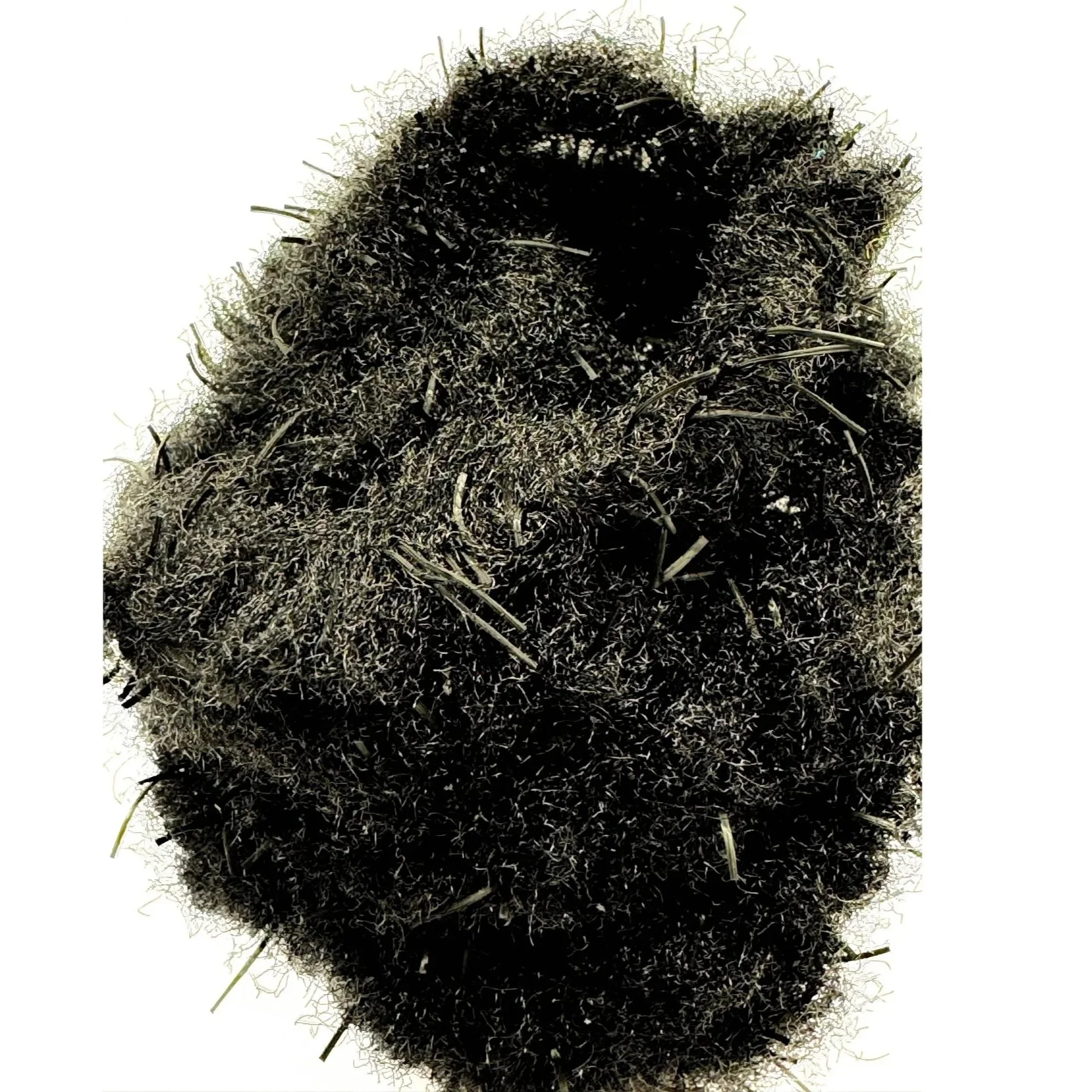 leech%2Bblack.jpg