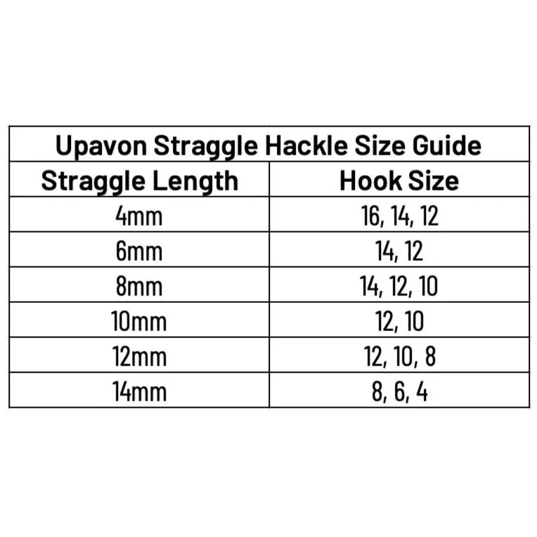 size+chart.jpg