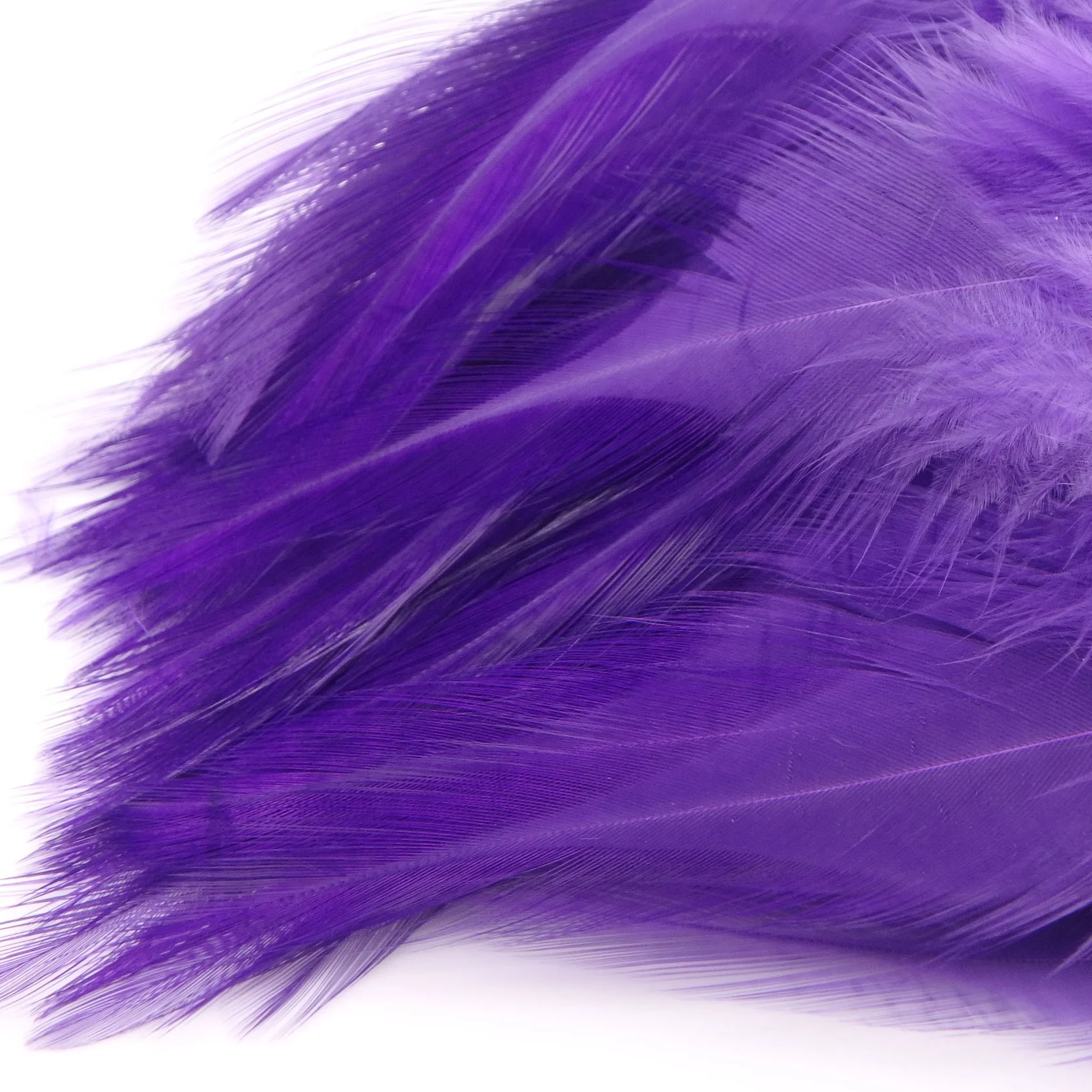 P4281407.png