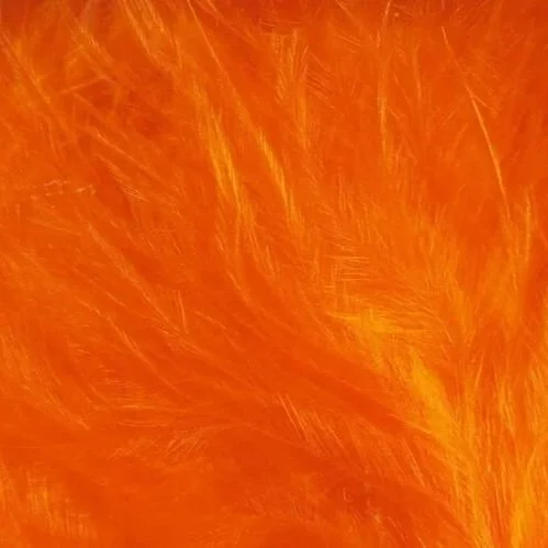 hot+orange.jpg
