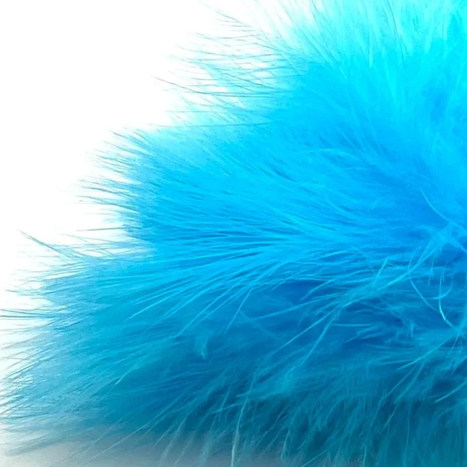 FL+Blue.jpg