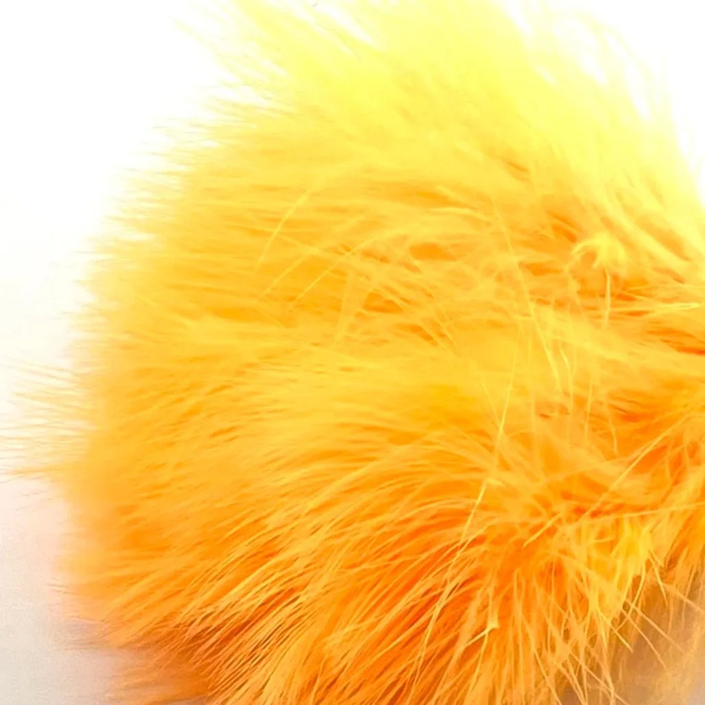 fl+orange.jpg