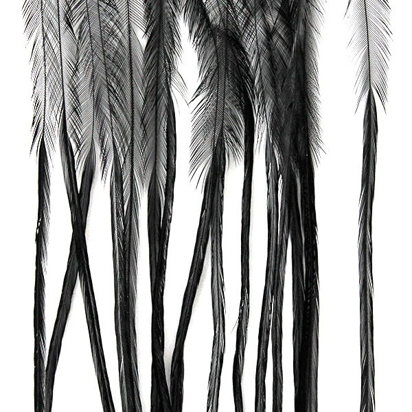 black.png