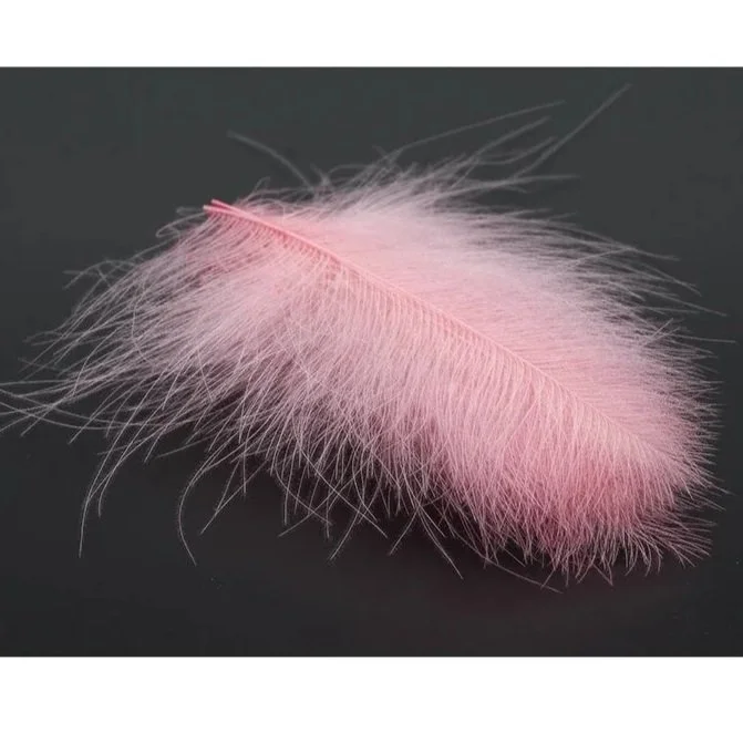 pink+shrimp.jpg