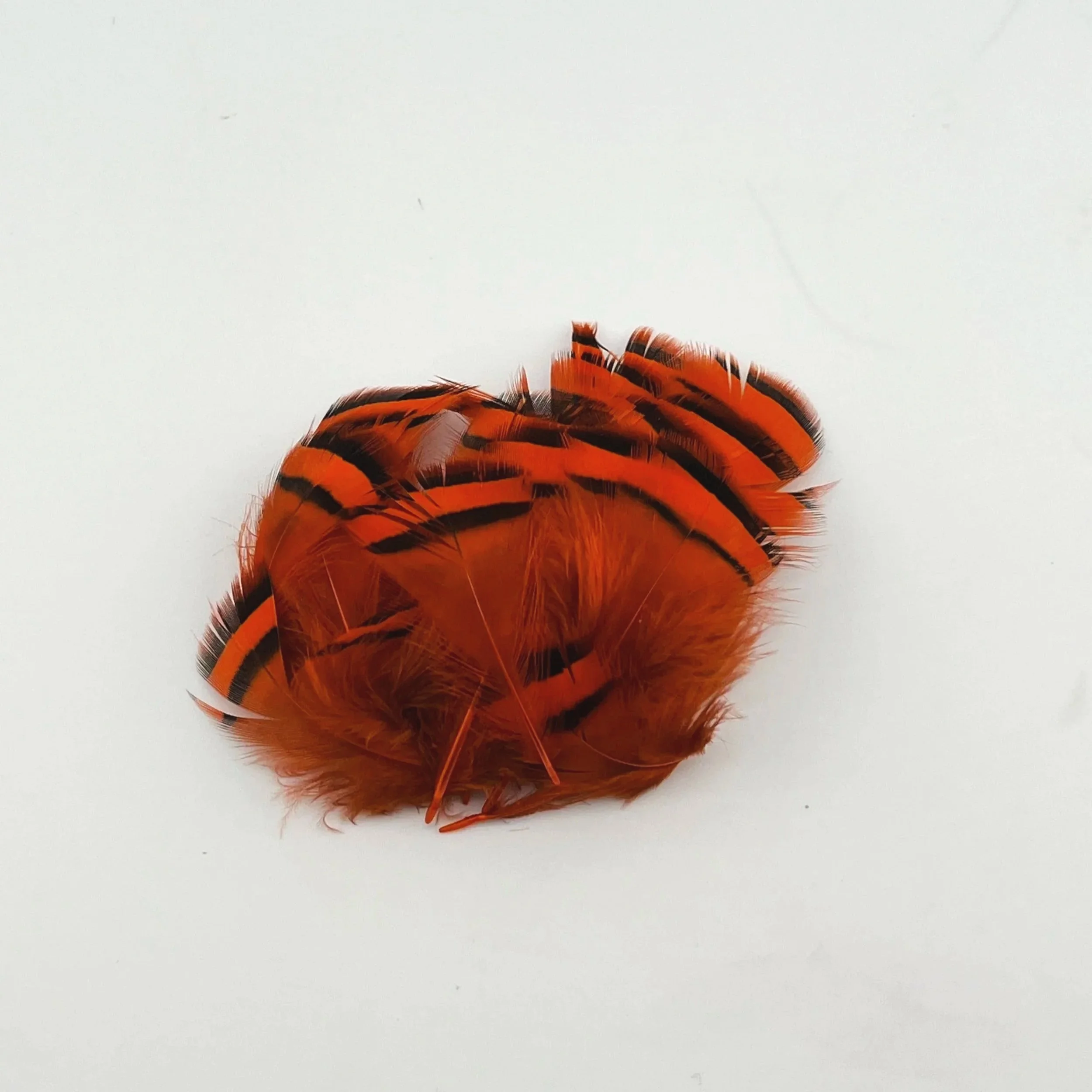 orange.jpg
