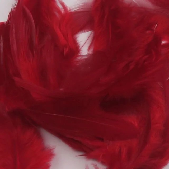 claret.jpg