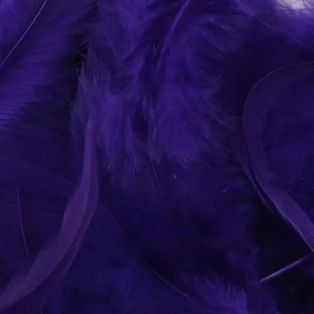 purple.jpg