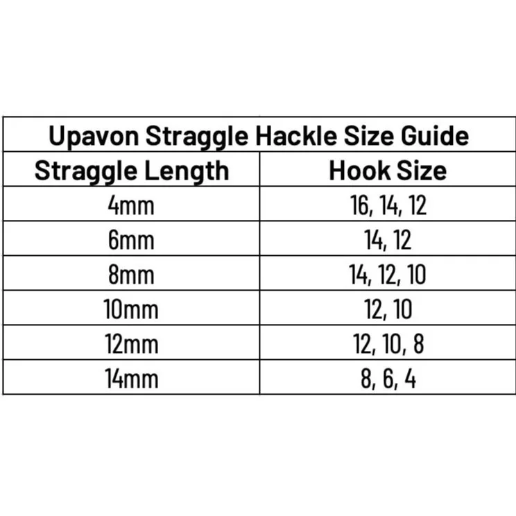 size+chart.jpg