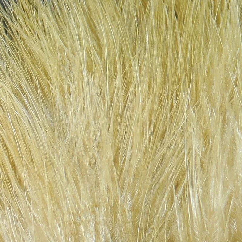 tan.jpg