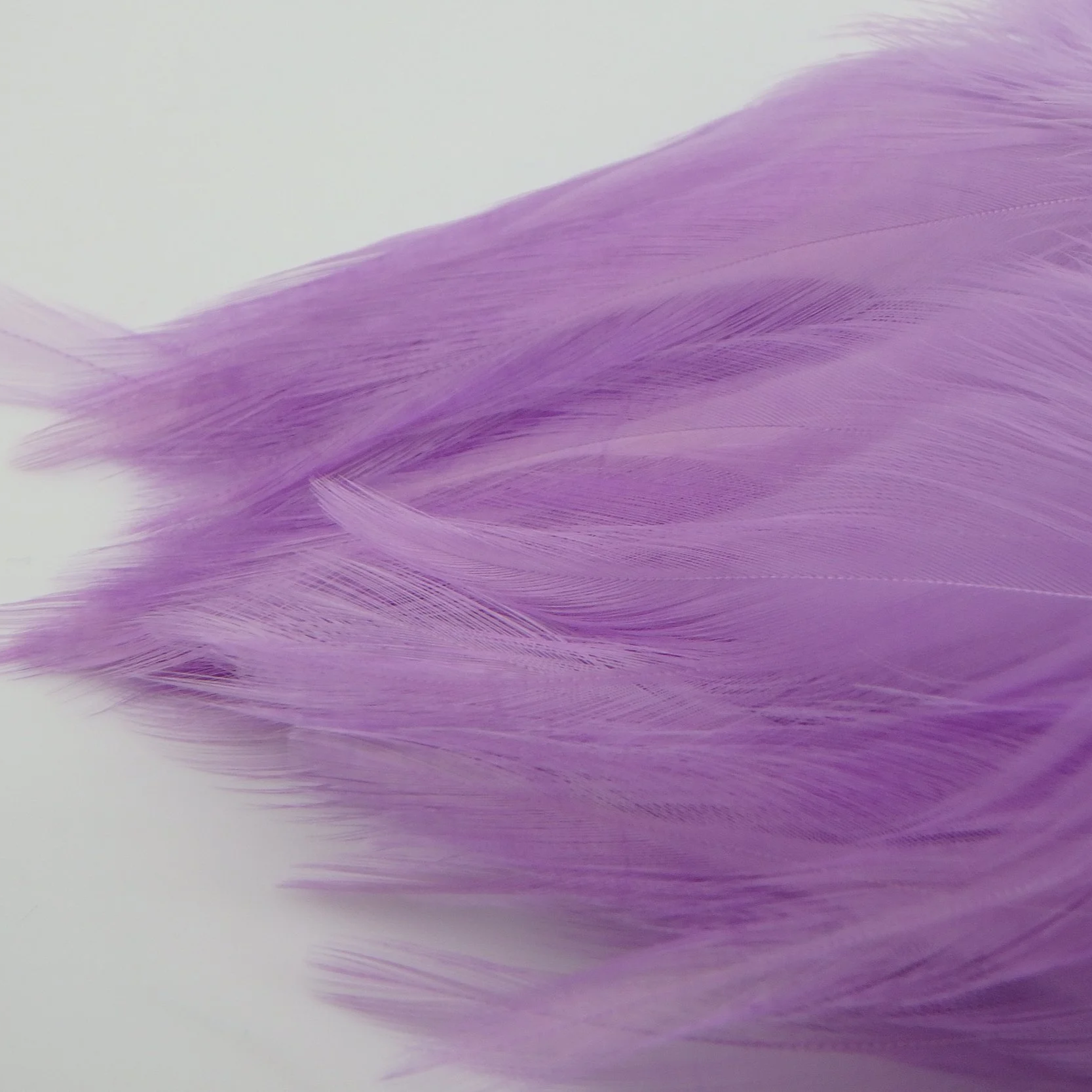 P4281399.png