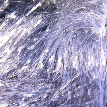 Minnow+Grey.jpg