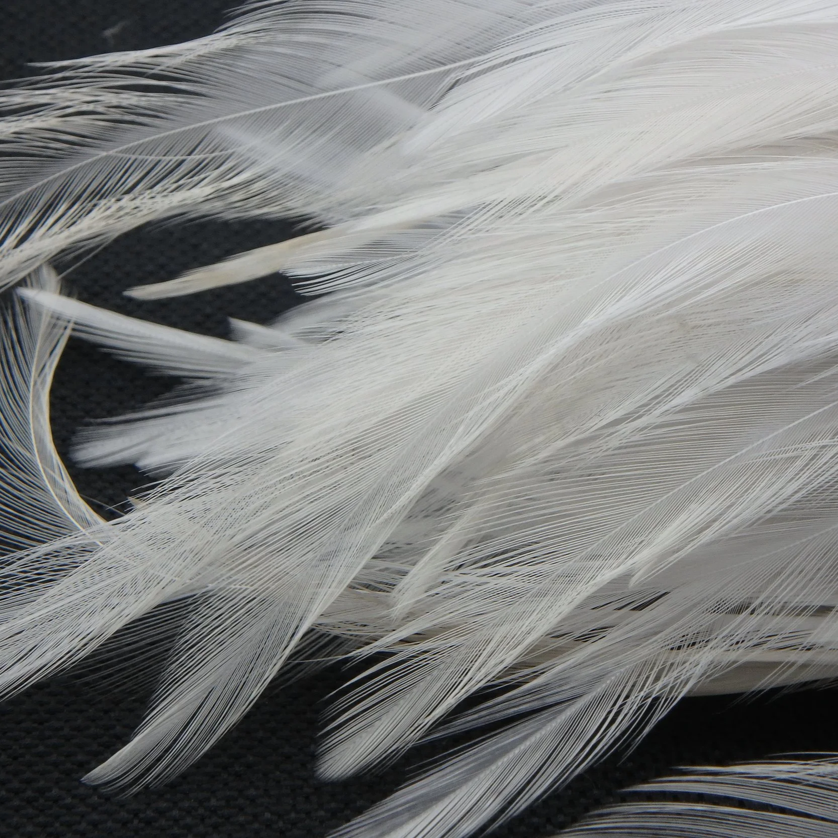 P4281408.png