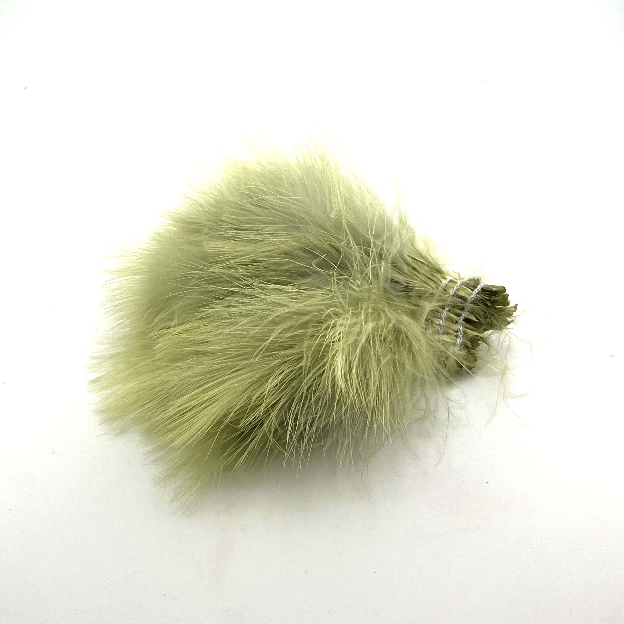 fl damsel nymph olive.jpg