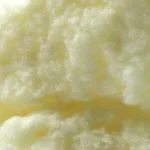 fl cheese.jpg