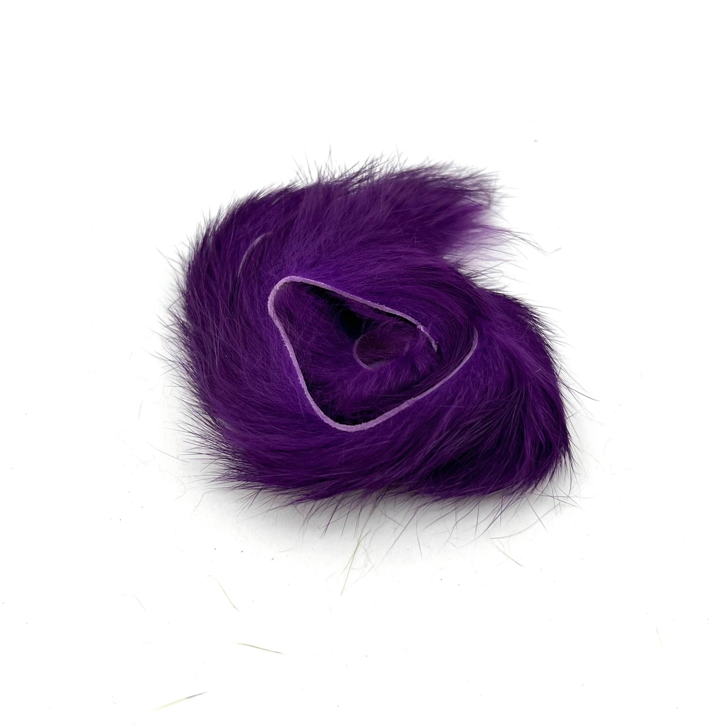 Purple.jpg