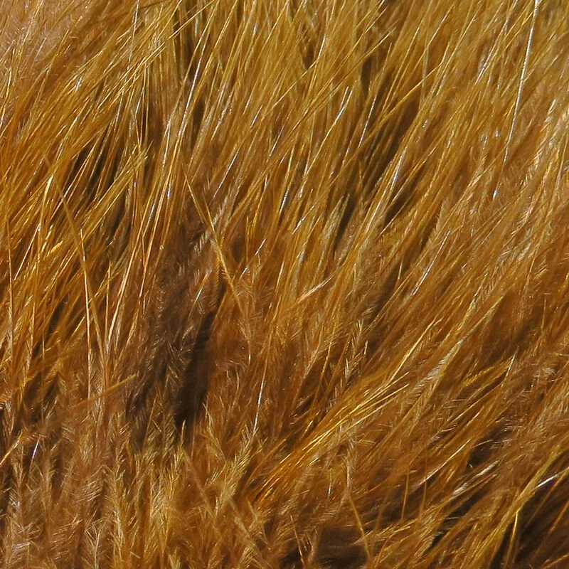 brown.jpg