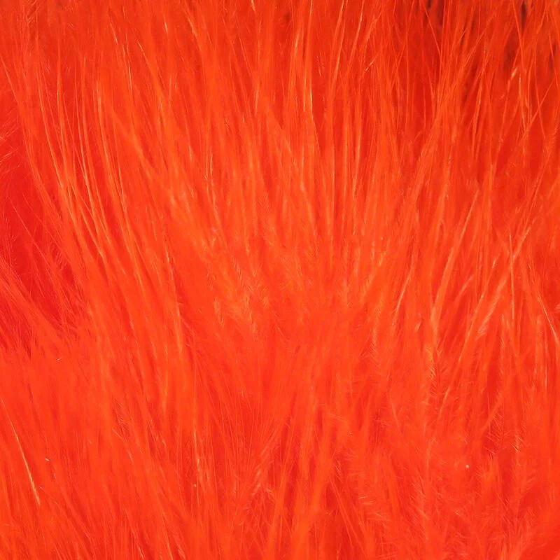 fl flame.jpg