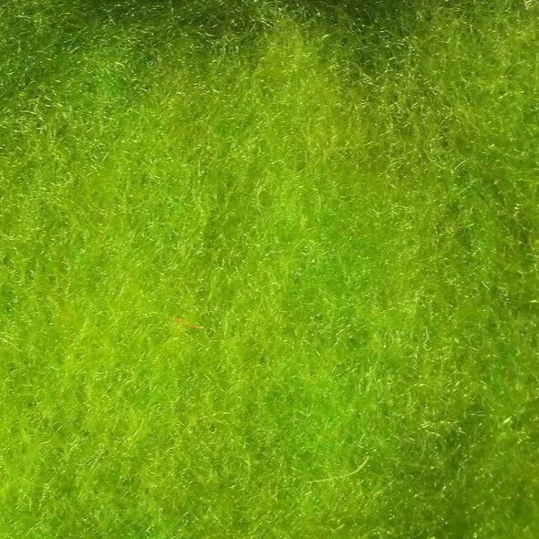 caddis+green.jpg