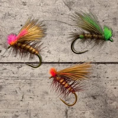 SighterWaxFlies+3.webp