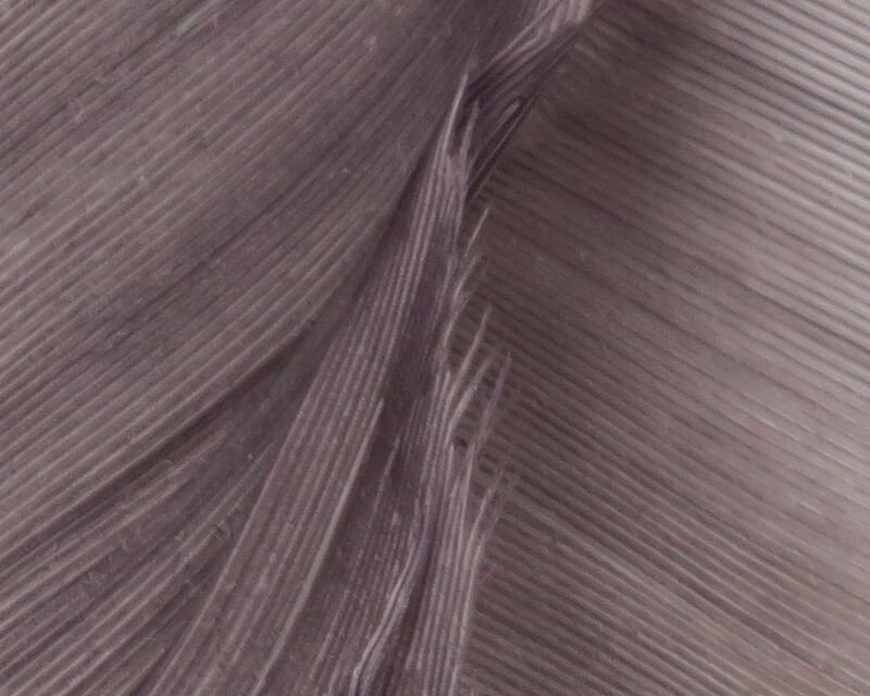 gray.jpg