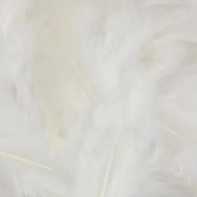 white.jpg