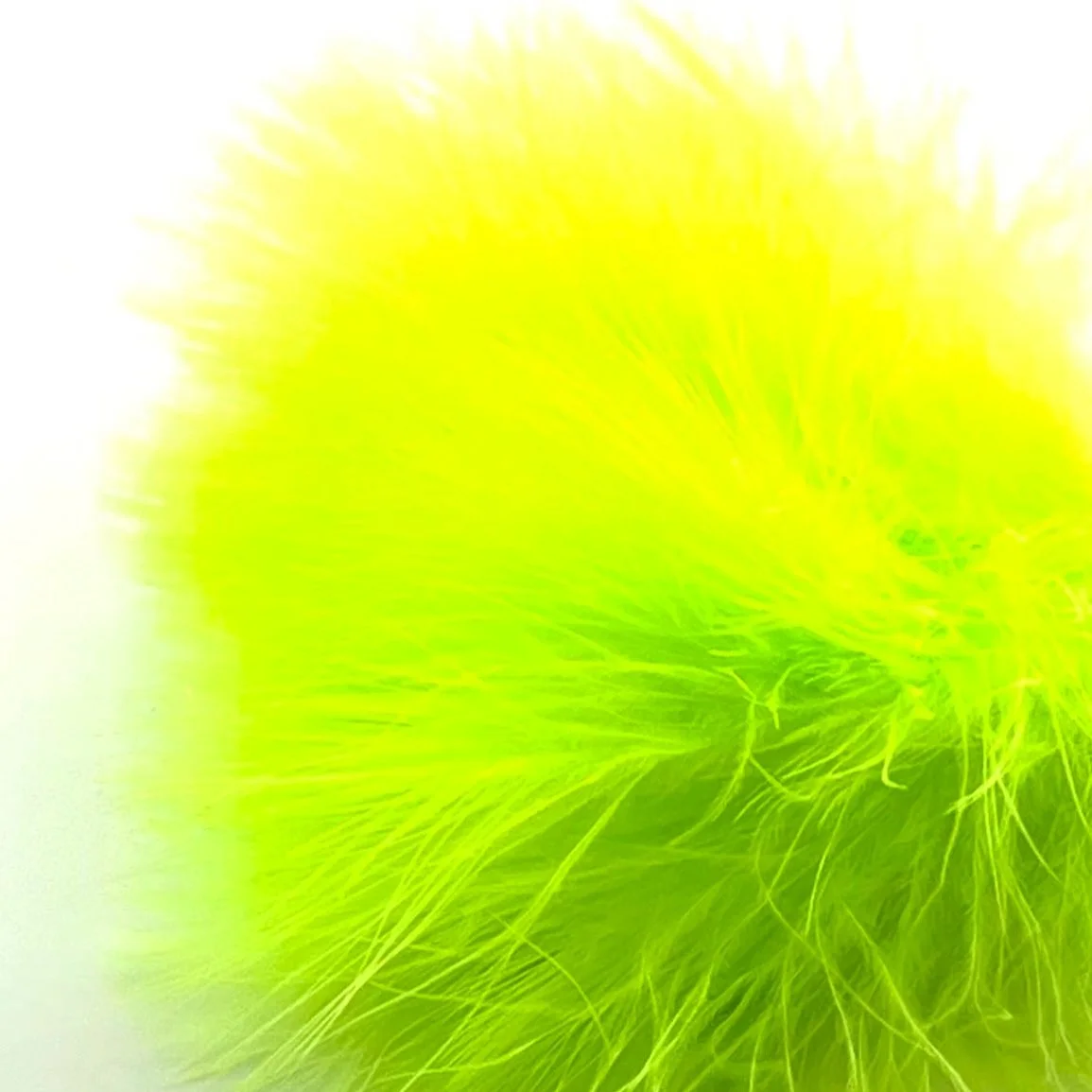 fl+yellow+chartreuse.jpg