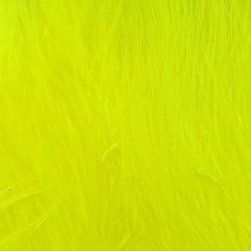 fl yellow.jpg