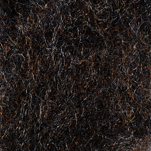 caddis black-brown.png