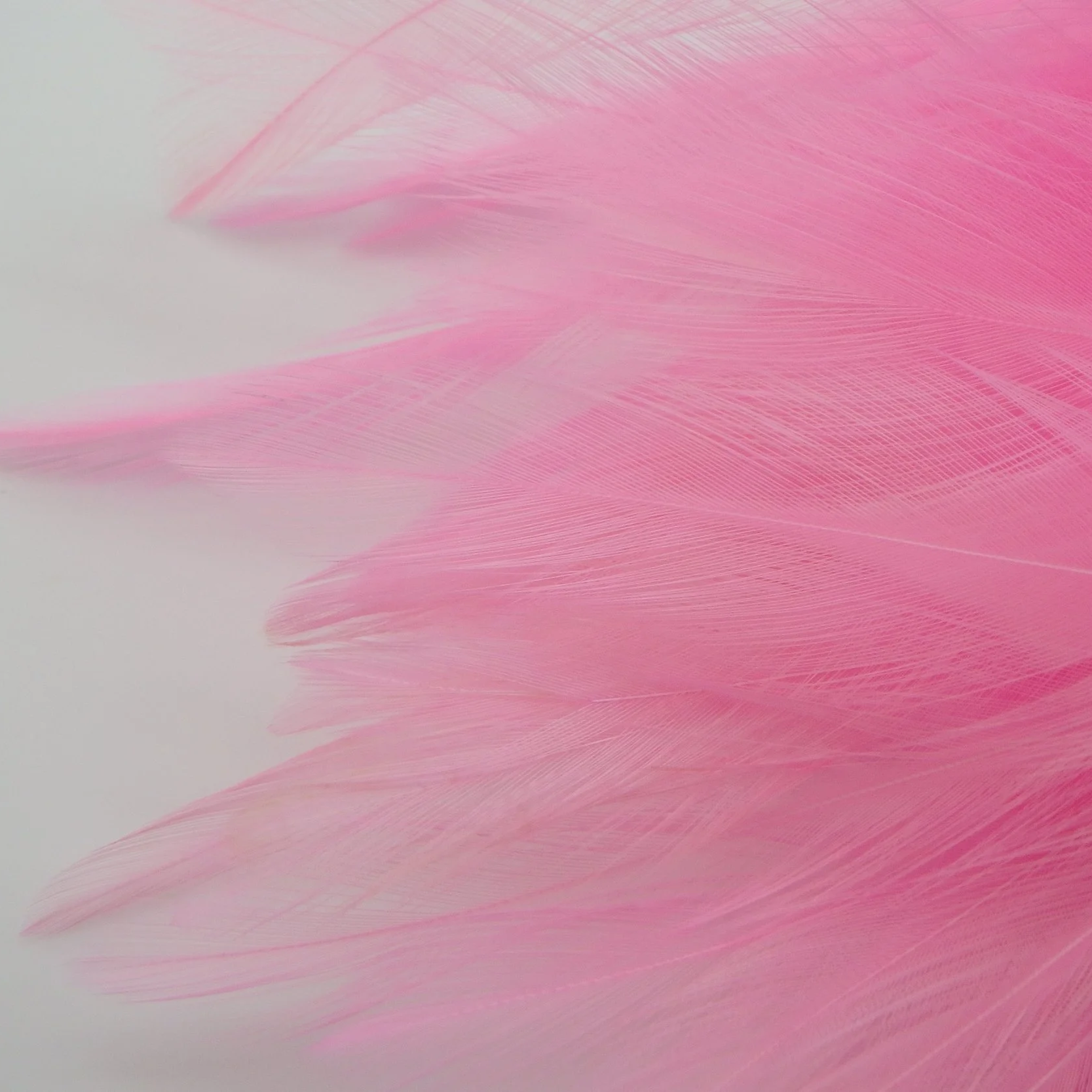 P4281402.png