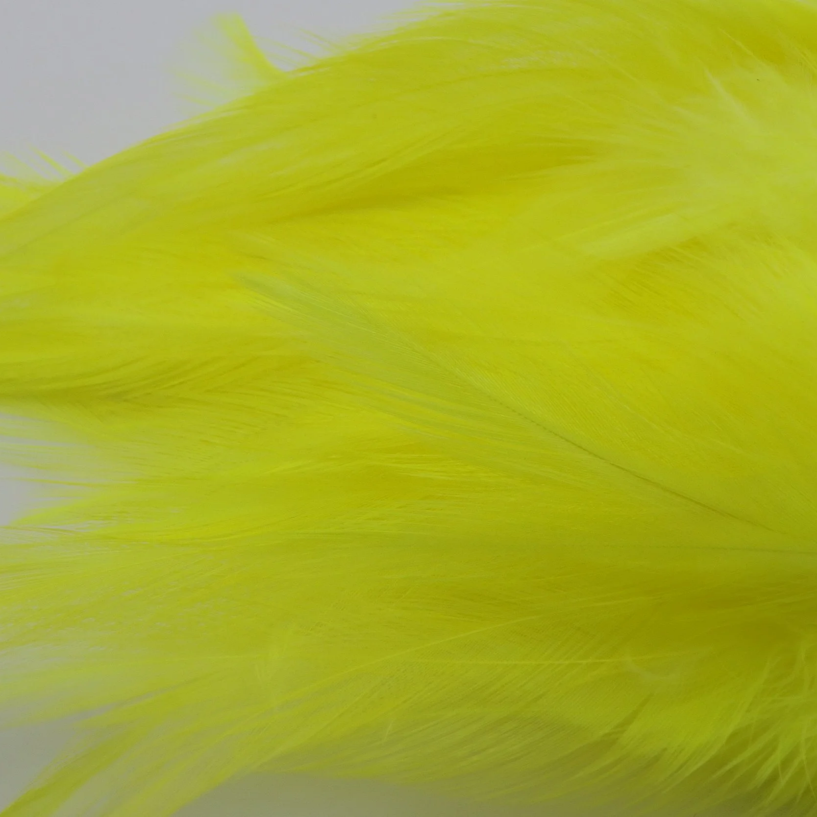 P4281411.png