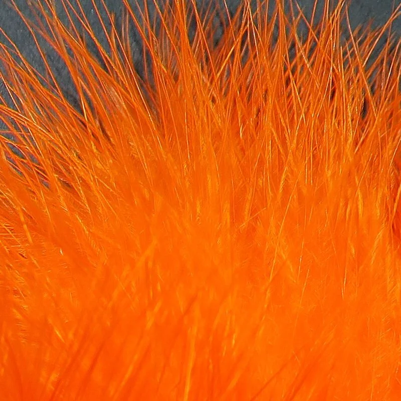 hot orange.jpg