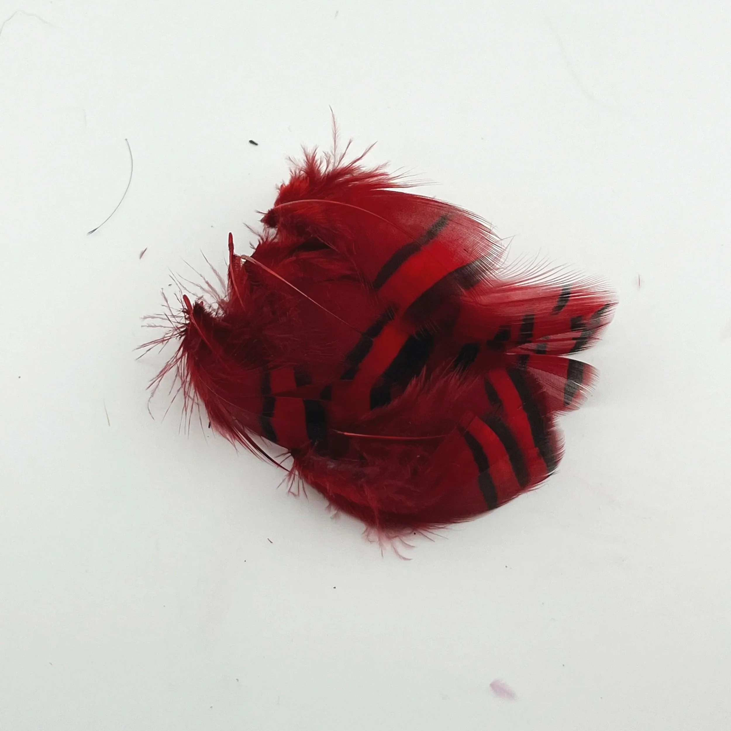 red.jpg
