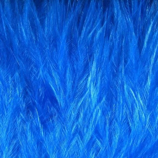 kingfisher+blue.jpg