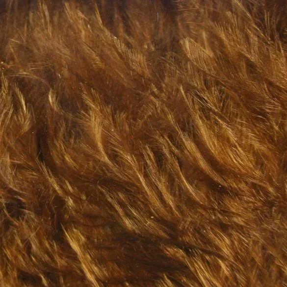 brown.jpg