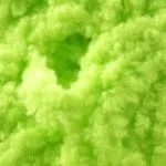 fl chartreuse.jpg